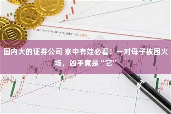 国内大的证券公司 家中有娃必看!一对母子被困火场,凶手竟是“它”