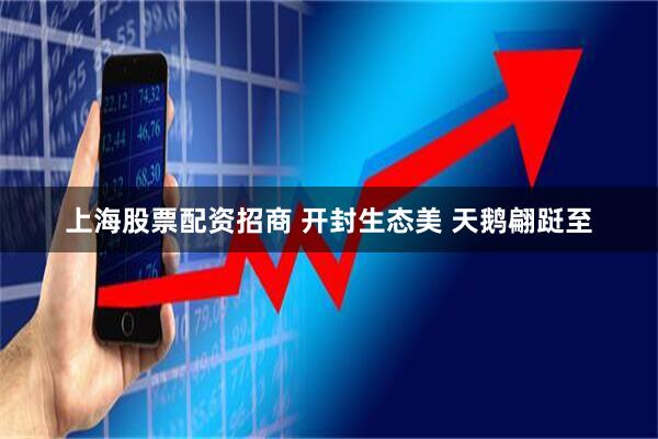 上海股票配资招商 开封生态美 天鹅翩跹至
